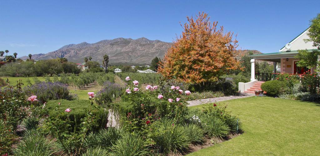 Montagu Vines Guesthouse Buitenkant foto