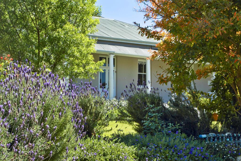 Montagu Vines Guesthouse Buitenkant foto