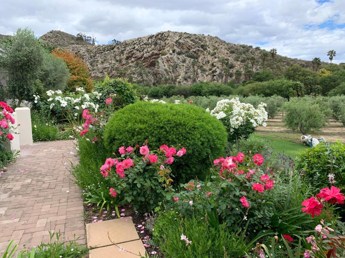 Montagu Vines Guesthouse Buitenkant foto